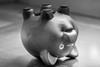 dgp_newsletter_piggy_28092026