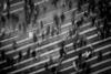 Crowd B+W