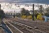 Railway, trains, transport, infrastructure