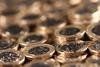 Pounds, pound coins, money, cash, sterling