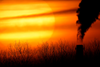 Fotoware