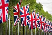 UK flags