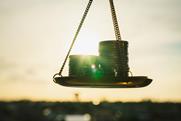 shutterstock_2385910831