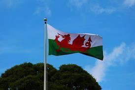 Wales flag, credit Dean Moriarty