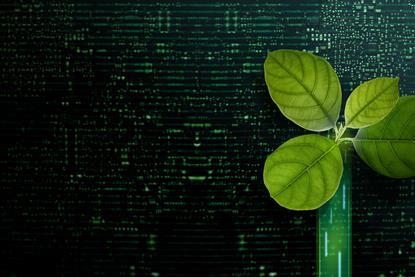 dgp_teaser_leaf_08042025