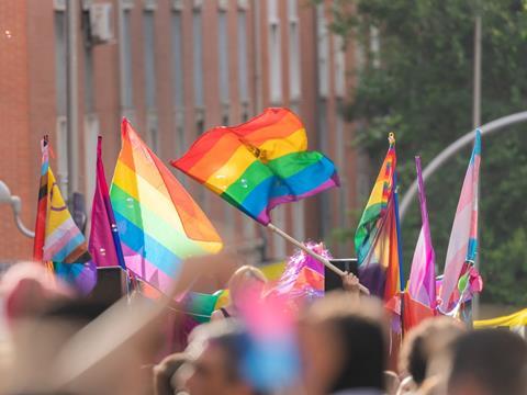 Pride flags and parade, LGBTQIA+