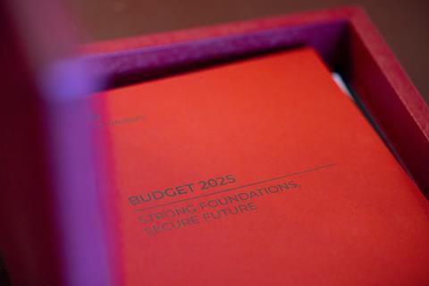 Budget 2025 report