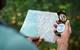 Map, compass, roadmap, navigation, plan