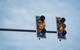 Traffic light, amber
