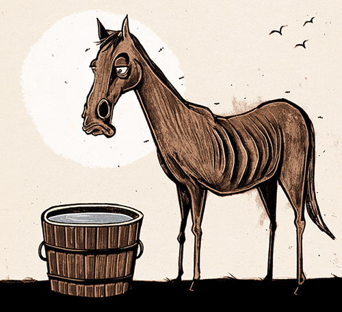 Illustration by Ben Jennings